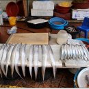 내고향 순천 이미지