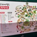 레인보우앵무새카페 | 강원도 당일치기 [알파카월드] 아이와 가볼만한 곳 여행지 추천