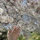 NR-3[경상대로]-상-353 | [경남일보 대학생 기자단, 경일리] 1기 경일리가 2기 경일리에게