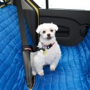 위드펫(with pet) 이미지