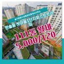 프라임114공인중개사사무소 | 한솔동 첫마을1단지퍼스트프라임 111동 월세 슬기로운나성동공인중개사사무소