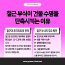 연우부식