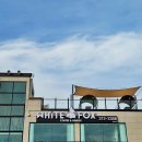 (주)화이트폭스 이미지