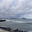 삼양다목적체육관 이미지