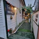 오색로뎀나무아래 이미지