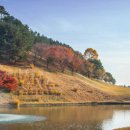 지산골프장 이미지