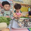 버클리어린이집 이미지