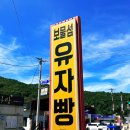 보물섬유자빵2