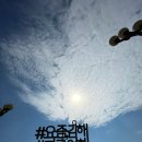 남광목재 | [경남 김해] 3박 4일 여행일정 및 후기 리스트