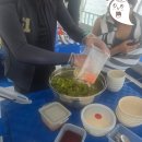 보홀 스쿠버다이빙 | 발리카삭 포인트별 후기