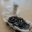 강아지 | 가르르 강아지 유모차 후기｜애견동반 여행용 개모차 추천 기준정리