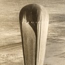 CW-1863-01 sciencenews