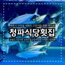 세화제화
