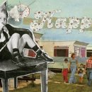 내포국제결혼 이미지