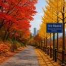 용산숲 입구 이미지