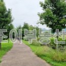 강천수변공원1 이미지