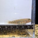 독립-16-05 이미지