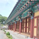 🐽2025년 9월 11일 목요일 목요일 아침인사 드립니다 이미지