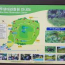 노루생태관찰원 이미지