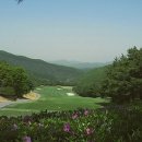 비드솔로몬