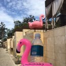 Banyan Tree Club&SPA Seoul Oasis 이미지