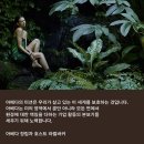 바티헤어 이미지