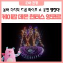 애니드론