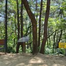 갈맷길6-2구간 이미지