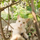 우리집동물병원 이미지