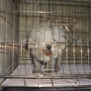 달서대로 이미지