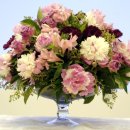 M백화점 이미지