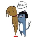 헤어망고 - 여수시 | 헤어망고