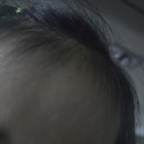 스테이 누누 네이버블로그