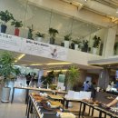 알멕스랜드 캠핌장 이미지