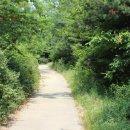 고인돌공원 이미지