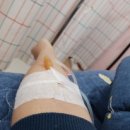 마곡수명검도관 이미지