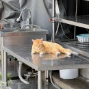 유성대로(유성-34) 이미지