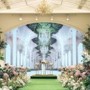 보타닉파크웨딩 이미지