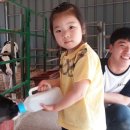 건우목장 이미지