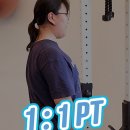 운동하는 코끼리 이미지