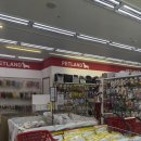 펫클래식 | 강아지 유모차 할인매장 부천 펫랜드에서 폼포라펫 클래식웨건 태워본 실제 후기!