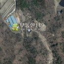옥산리목장 Daum카페