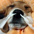 예일학원 이미지