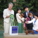 쿠어츠바인에 이미지