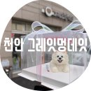 천안두정초등학교 | 천안 그레잇멍데잇 / 천안강아지케이크 진짜 귀엽고 퀄리티 좋은 주문 제작 생일케이크