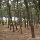 덕천해수욕장 네이버블로그
