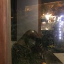 창동게임랜드 이미지