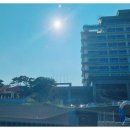 개미 게임랜드 이미지