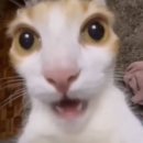 야 최애한테 쓴 편지 최애 콘서트에서 공개 읽힘 당해봤냐? ✌️✌️✌️후헤헤 (잰콘후기)