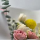 국화라이프 | 대전둔산동꽃집추천 오월애플라워 파스텔톤 생화 꽃다발 후기 (대전 꽃집)